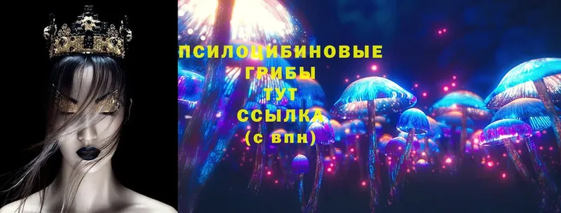 MEGA зеркало  как найти наркотики  Кремёнки  Галлюциногенные грибы Psilocybe 